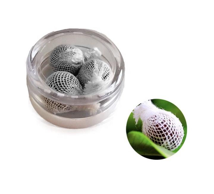 Perles détoxifiantes